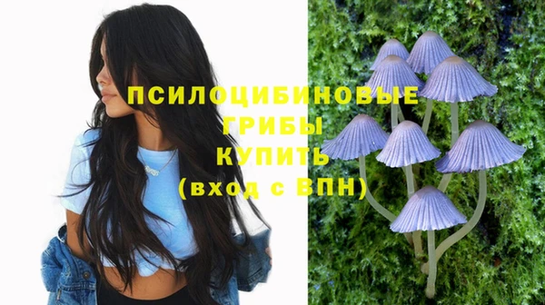 прущие крисы Беломорск