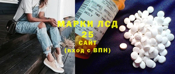 СК Снежногорск